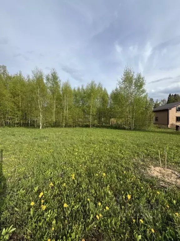 Участок в Московская область, Волоколамский муниципальный округ, Рузза ... - Фото 1