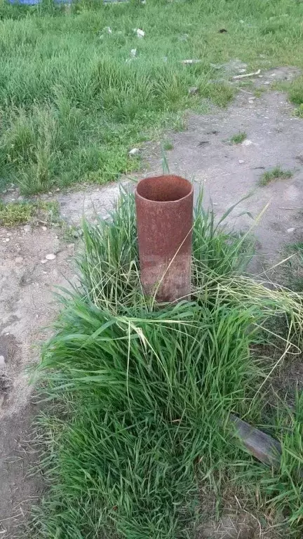 Участок в Иркутская область, Усольский район, Большееланское ... - Фото 1