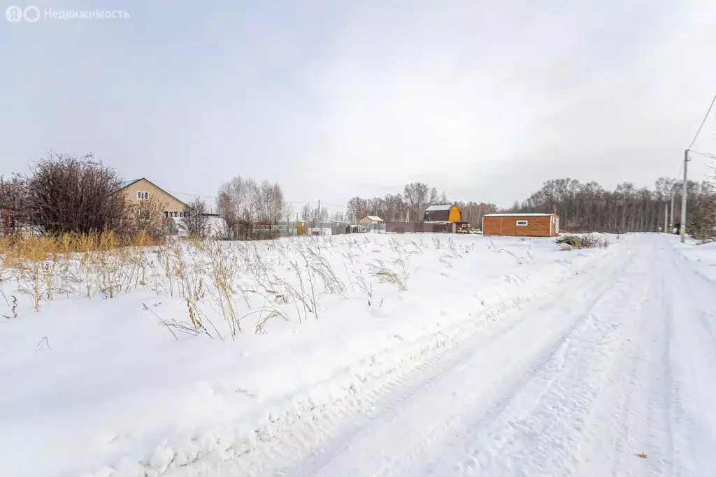 Участок в Бердск, СНТ Орбита, 5-я улица (12 м) - Фото 1