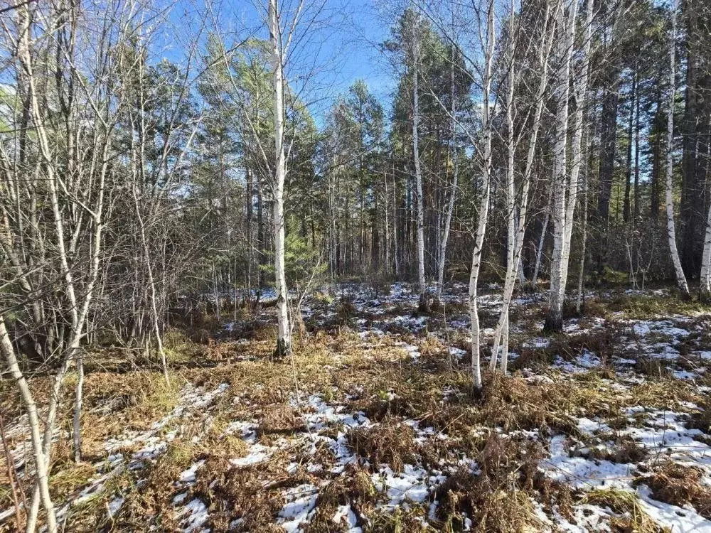 Участок в Иркутская область, Иркутский муниципальный округ, д. ... - Фото 2