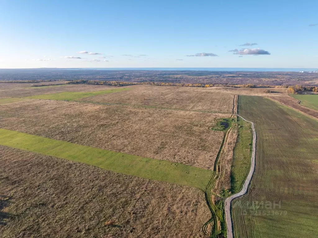 Участок в Ленинградская область, Ломоносовский район, Копорское с/пос  ... - Фото 1