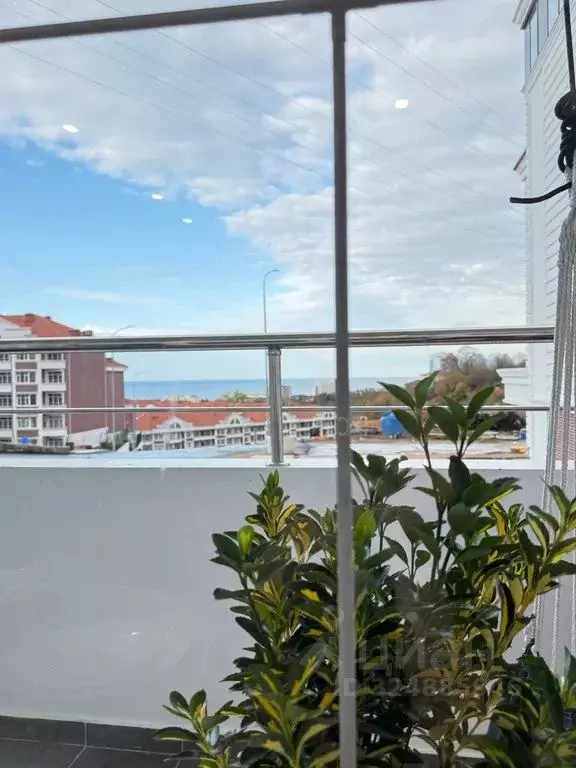 Студия Краснодарский край, Сочи ул. Ленина, 290/7к8 (30.0 м) - Фото 2