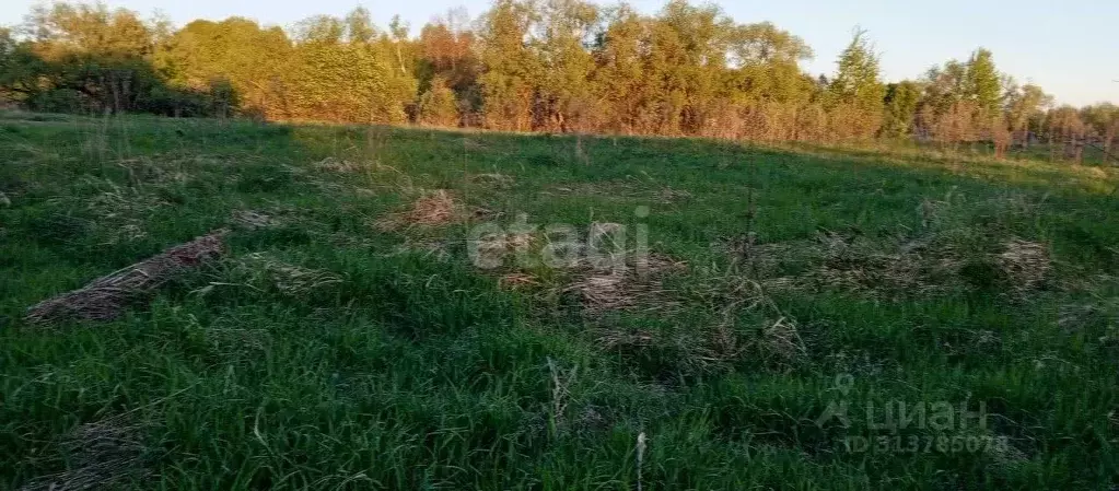 Участок в Калужская область, Бабынинский район, Утешево с/пос, с. ... - Фото 1