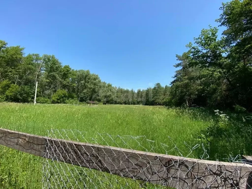 Участок в Башкортостан, Ишимбайский район, с. Макарово  (10.0 сот.) - Фото 2