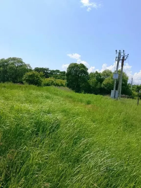 Участок в Приморский край, Партизанский муниципальный округ, с. ... - Фото 2