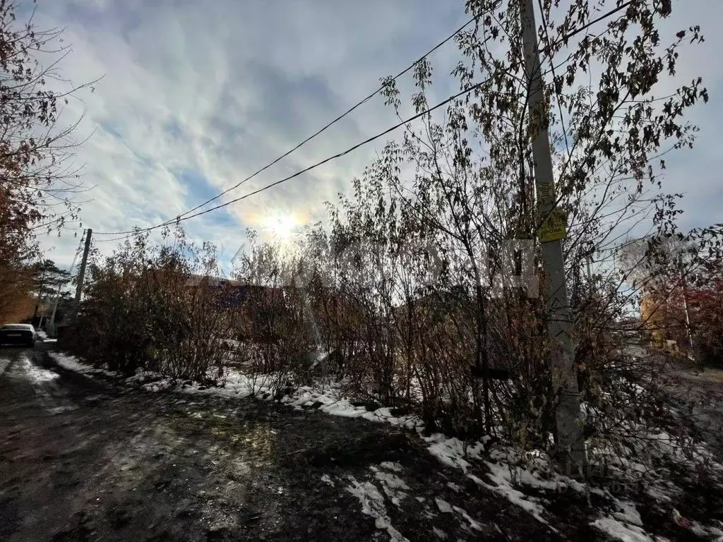 Участок, 5 сот., поселения (ижс) - Фото 1