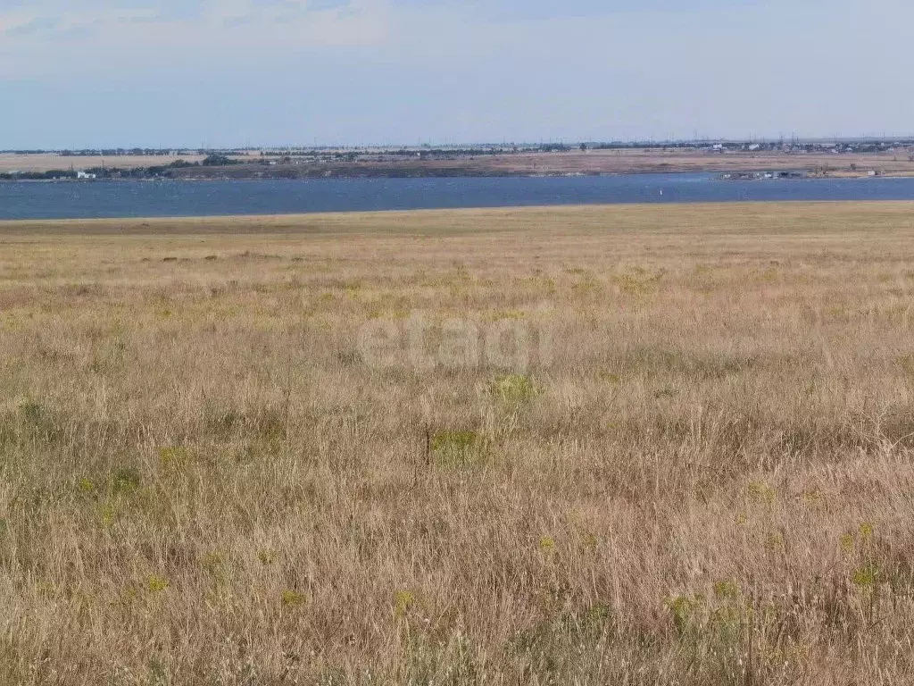 Участок в Крым, Черноморский район, Медведевское с/пос, с. Медведево  ... - Фото 1