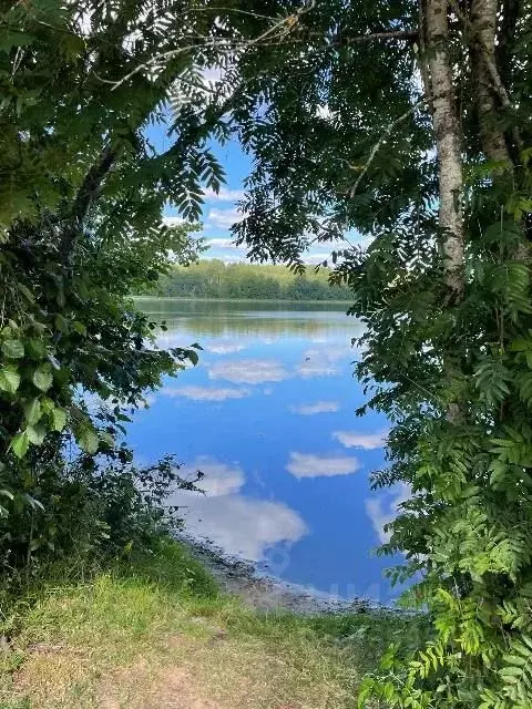 Участок в Новгородская область, Валдайский район, Рощинское с/пос, д. ... - Фото 0