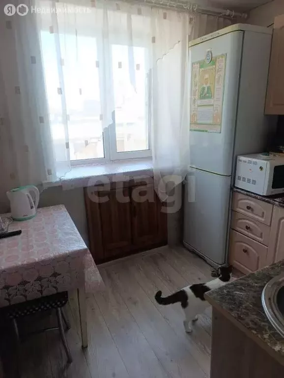 2-комнатная квартира: Бийск, улица Александра Матросова, 29 (46.3 м) - Фото 1