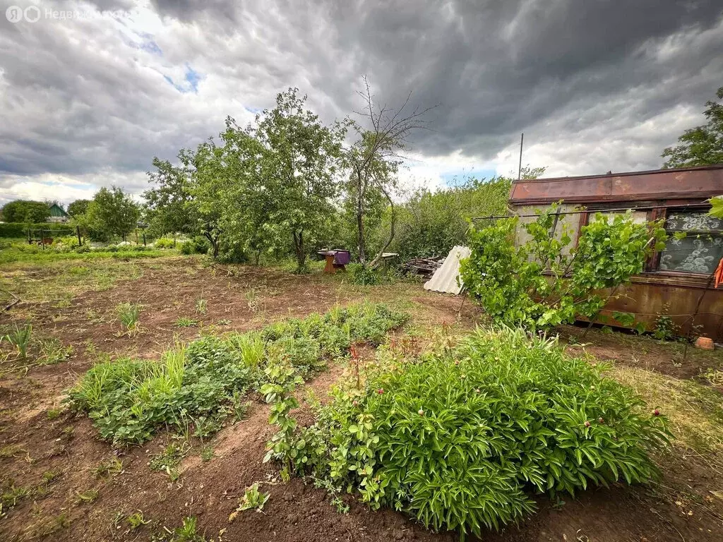 Дом в Нежинский сельсовет, СНТ Ромашка, Малиновая улица, 117 (22 м) - Фото 1