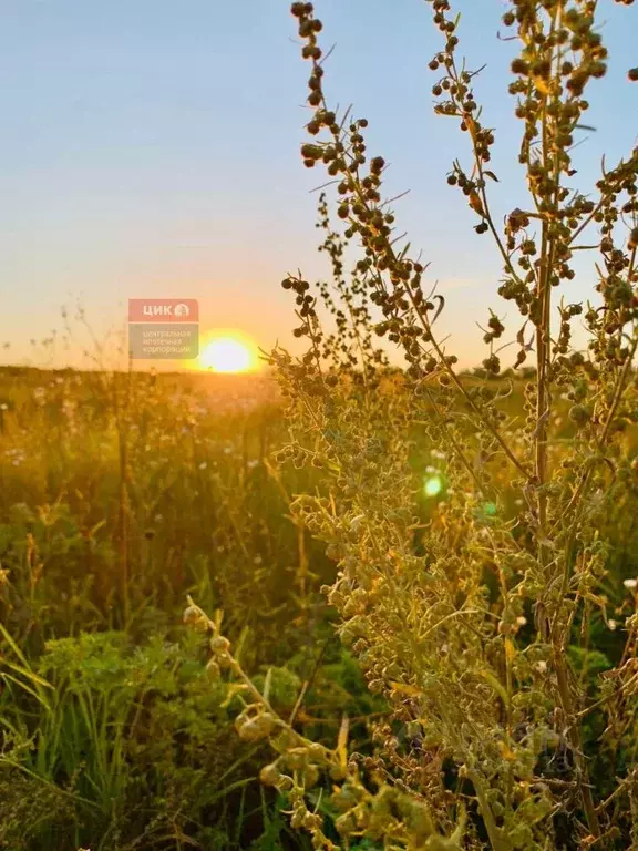 Участок в Рязанская область, Рязанский муниципальный округ, с. ... - Фото 2