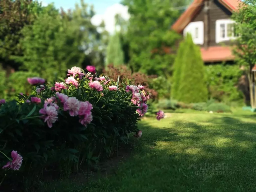 Коттедж в Московская область, Богородский городской округ, д. Пашуково ... - Фото 2