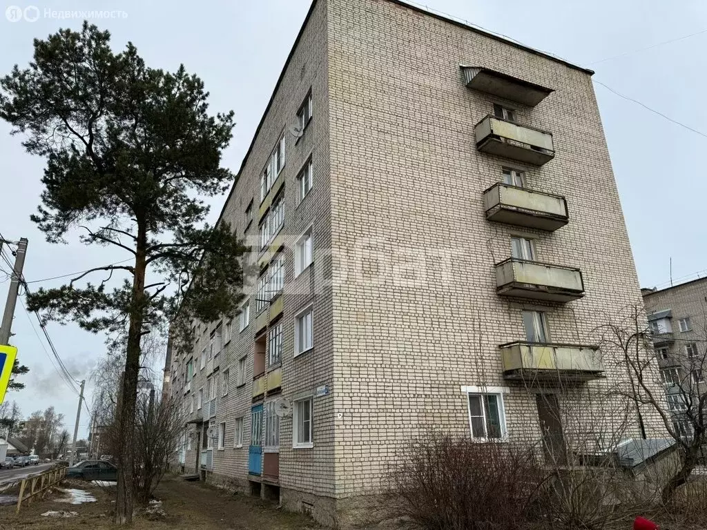 1-комнатная квартира: посёлок городского типа Ветлужский, Центральная ... - Фото 2