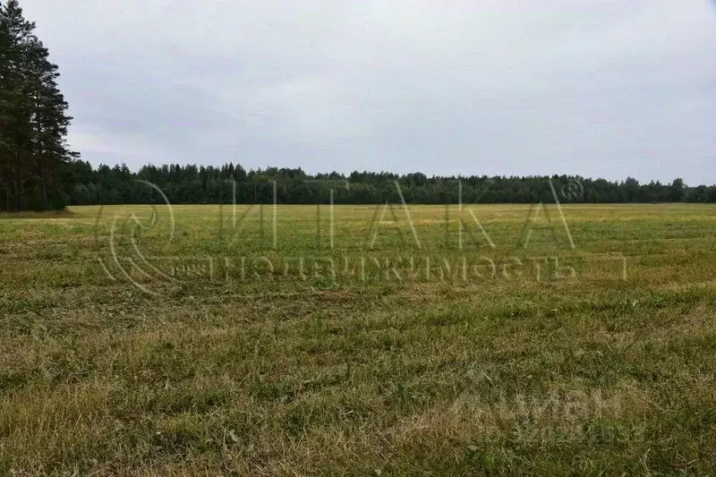 Участок в Ленинградская область, Выборгский район, Красносельское ... - Фото 1