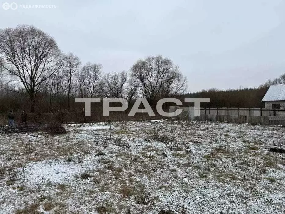 Участок в Воронежская область, село Новая Усмань (12 м) - Фото 2