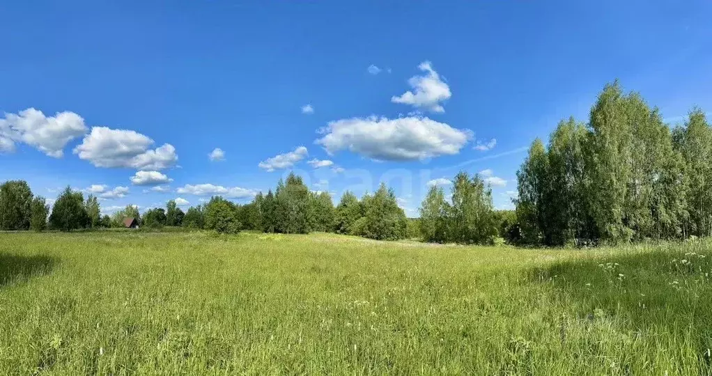 Участок в Ярославская область, Тутаевский муниципальный округ, д. ... - Фото 1