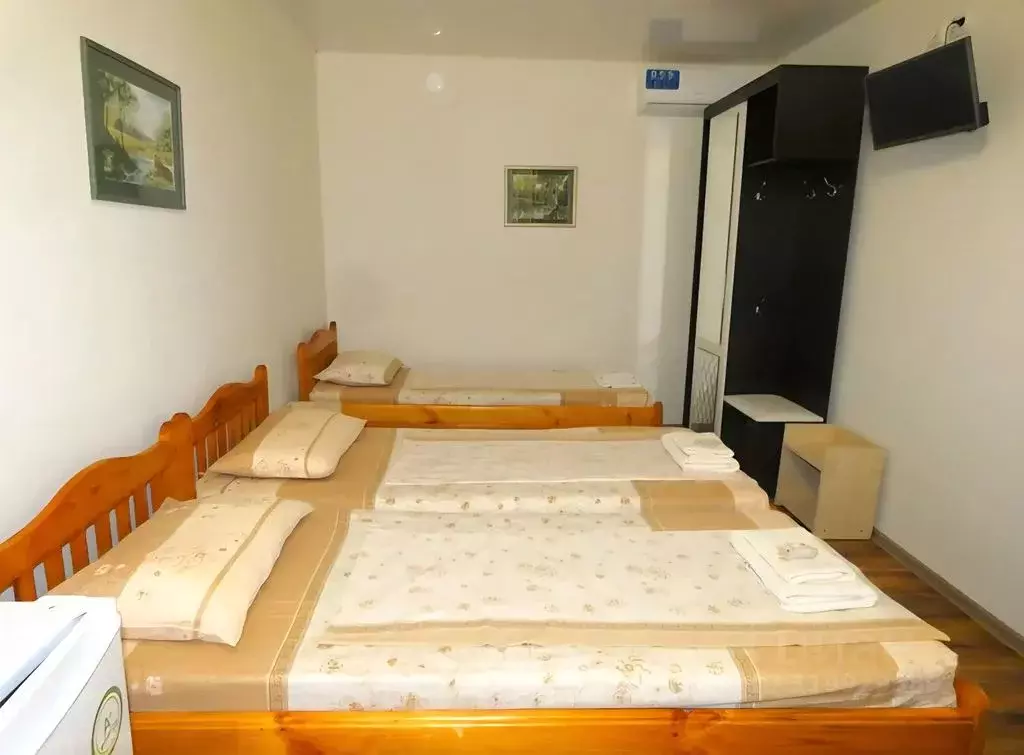 Комната Крым, Сакский район, Новофедоровка пгт ул. Виноградная, уч136 - Фото 1