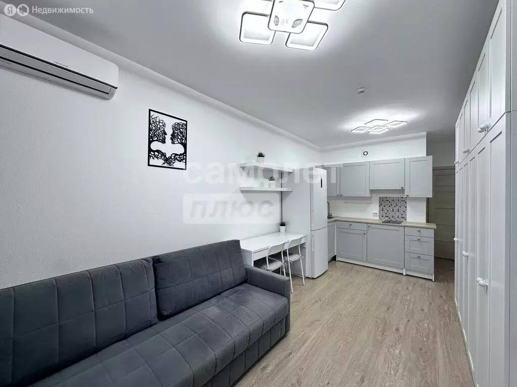 Квартира-студия: Санкт-Петербург, улица Лётчика Лихолетова, 14к2 (24.5 ... - Фото 1