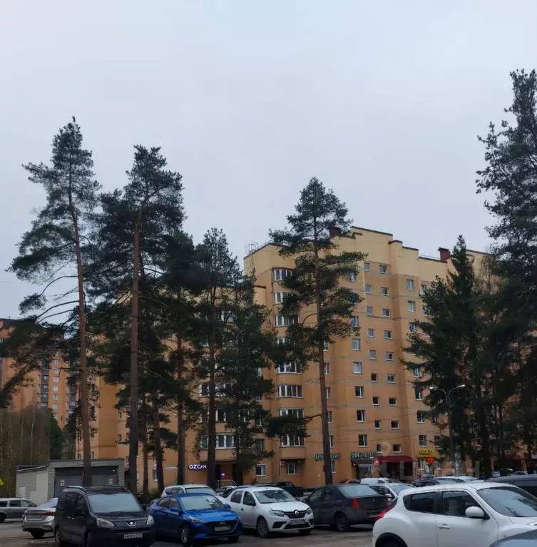 1-к кв. Ленинградская область, Сертолово Всеволожский район, ул. ... - Фото 0