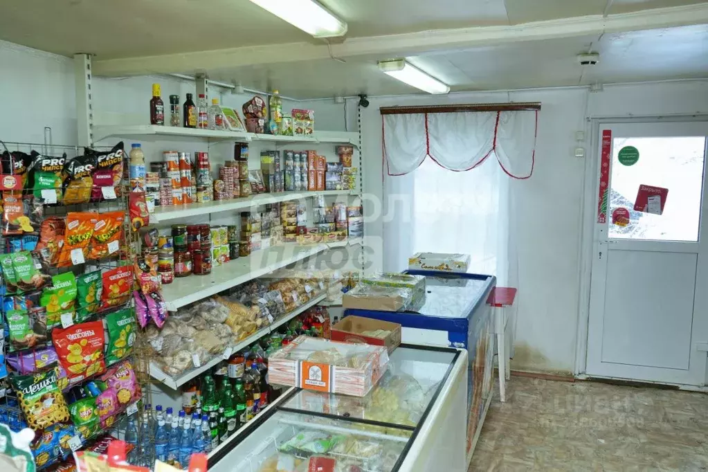 Торговая площадь в Челябинская область, Нязепетровск ул. Гагарина, 128 ... - Фото 2