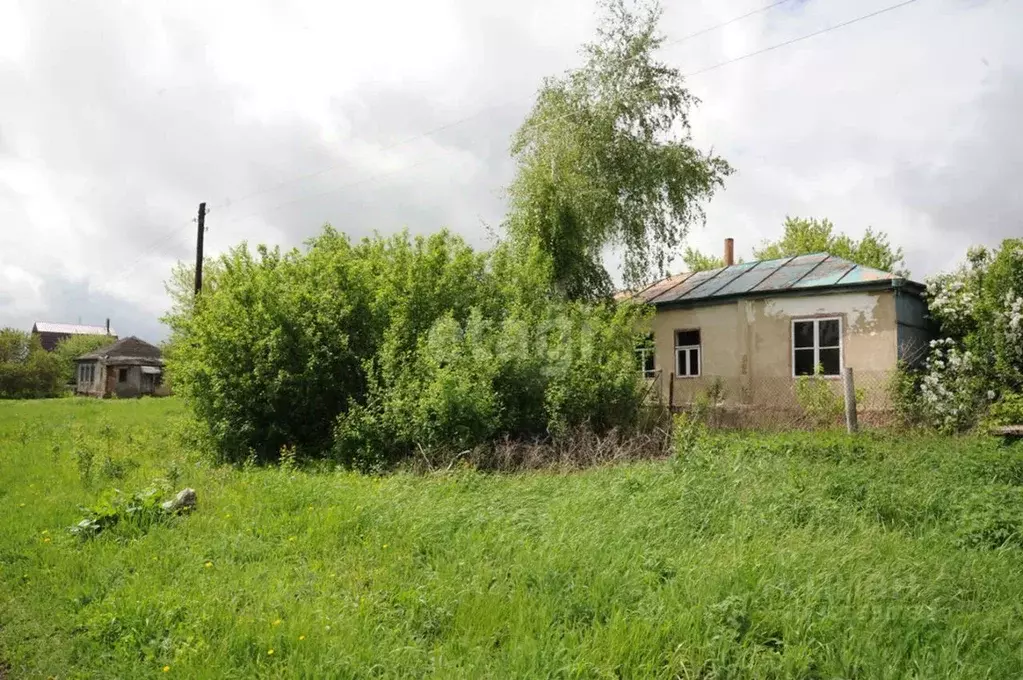 Дом в Воронежская область, Новоусманский район, Рогачевское с/пос, ... - Фото 1