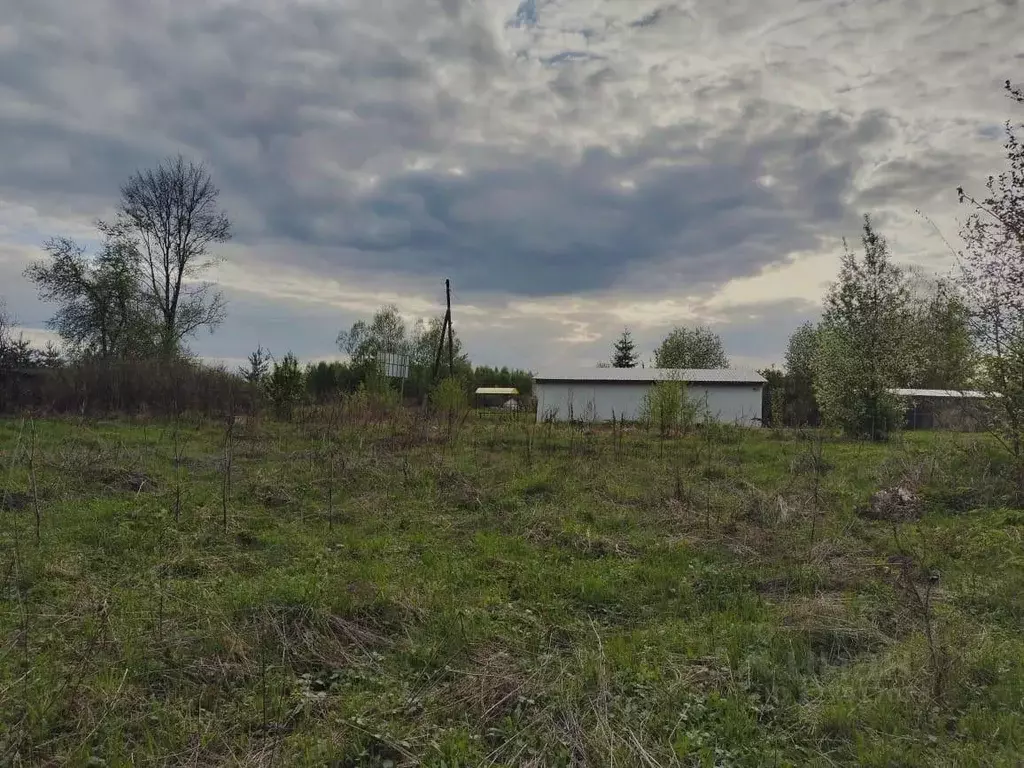 Участок в Марий Эл, Оршанский район, Марковское с/пос, с. Упша ул. ... - Фото 2