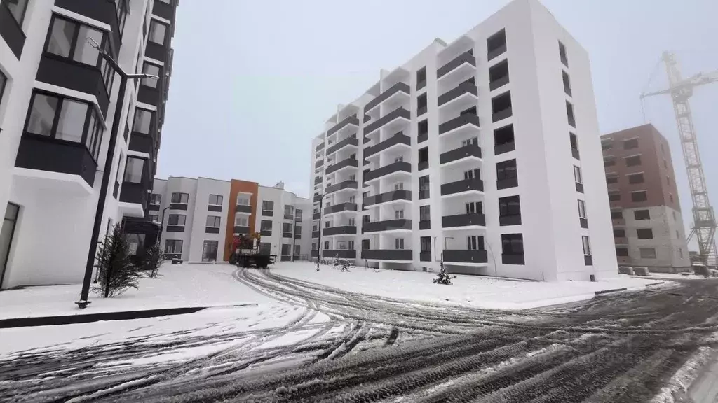 1-к кв. Воронежская область, Борисоглебск Аэродромная ул., 18Г (34.11 ... - Фото 1