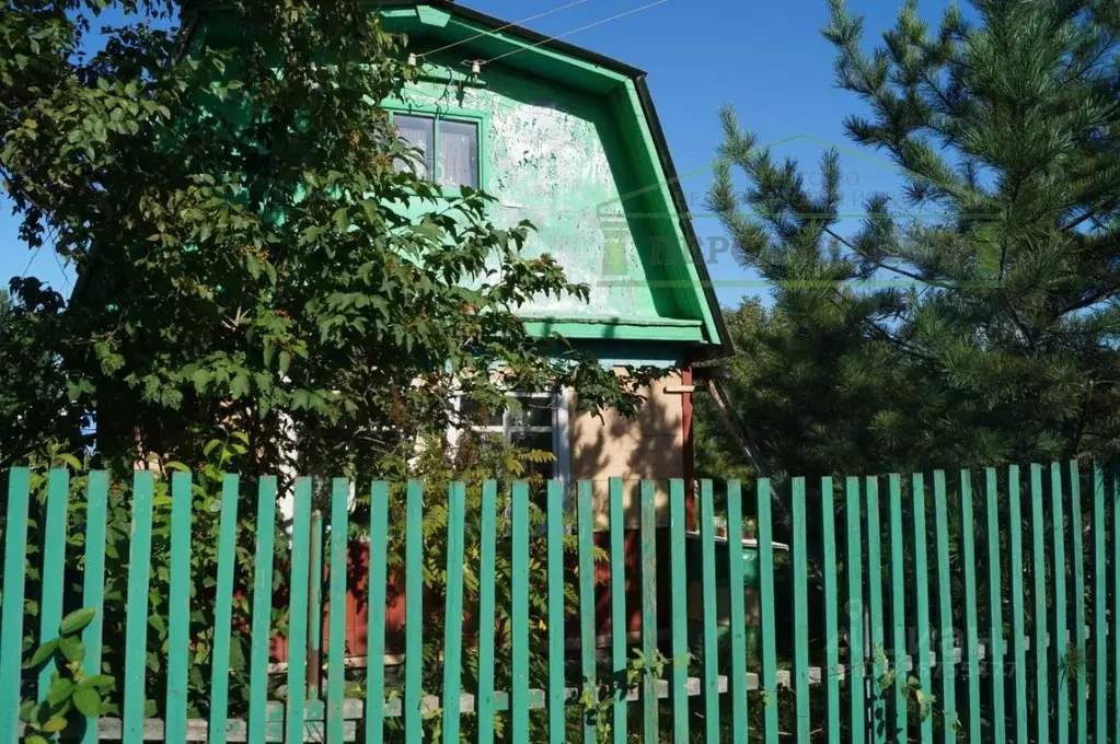 Участок в Приморский край, Надеждинский район, Спутник СНТ 31 (5.89 ... - Фото 2