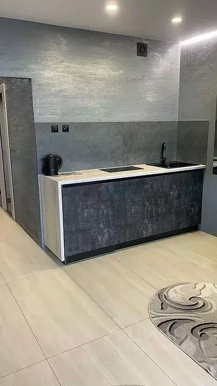 1-к кв. Новосибирская область, Новосибирск Рябиновая ул., 14/1 (29.0 ... - Фото 1