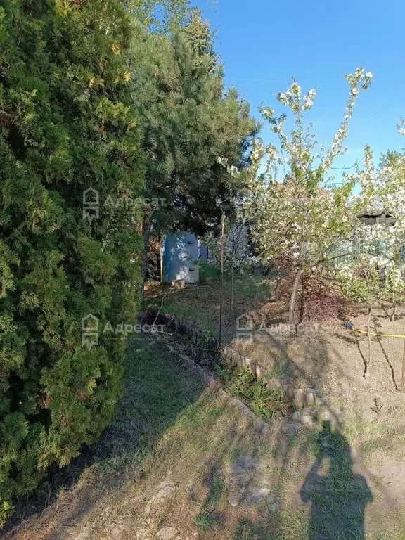 Дом в Волгоградская область, Волгоград Дружба Береславка СНТ,  (35 м) - Фото 1