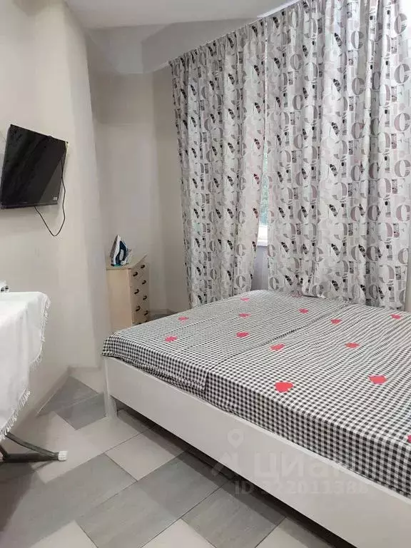 Студия Краснодарский край, Сочи ул. Ленина, 288 (33.0 м) - Фото 2