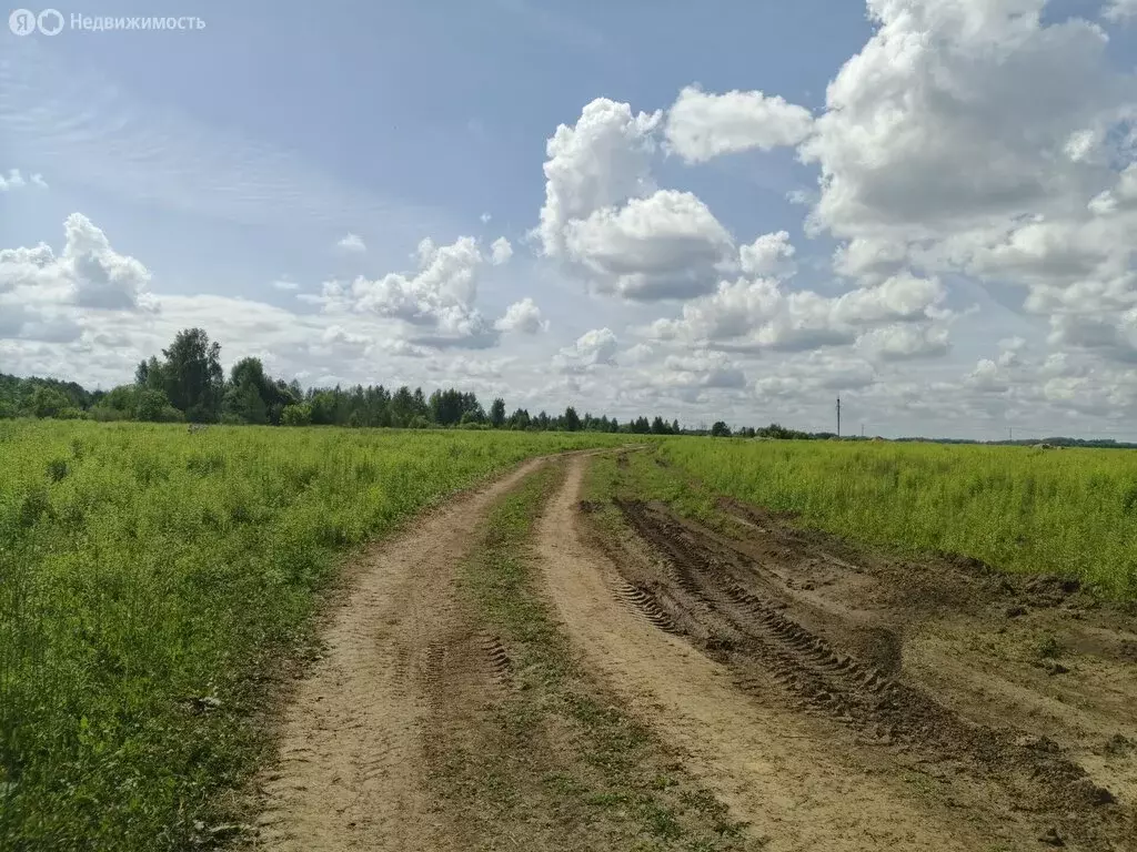 Участок в Нижегородская область, Бор (8 м) - Фото 1