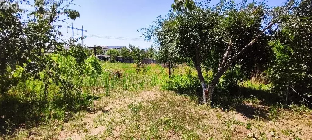 Участок в Волгоград, СНТ Металлург, 2-й участок, 7-я улица (4.22 м) - Фото 1