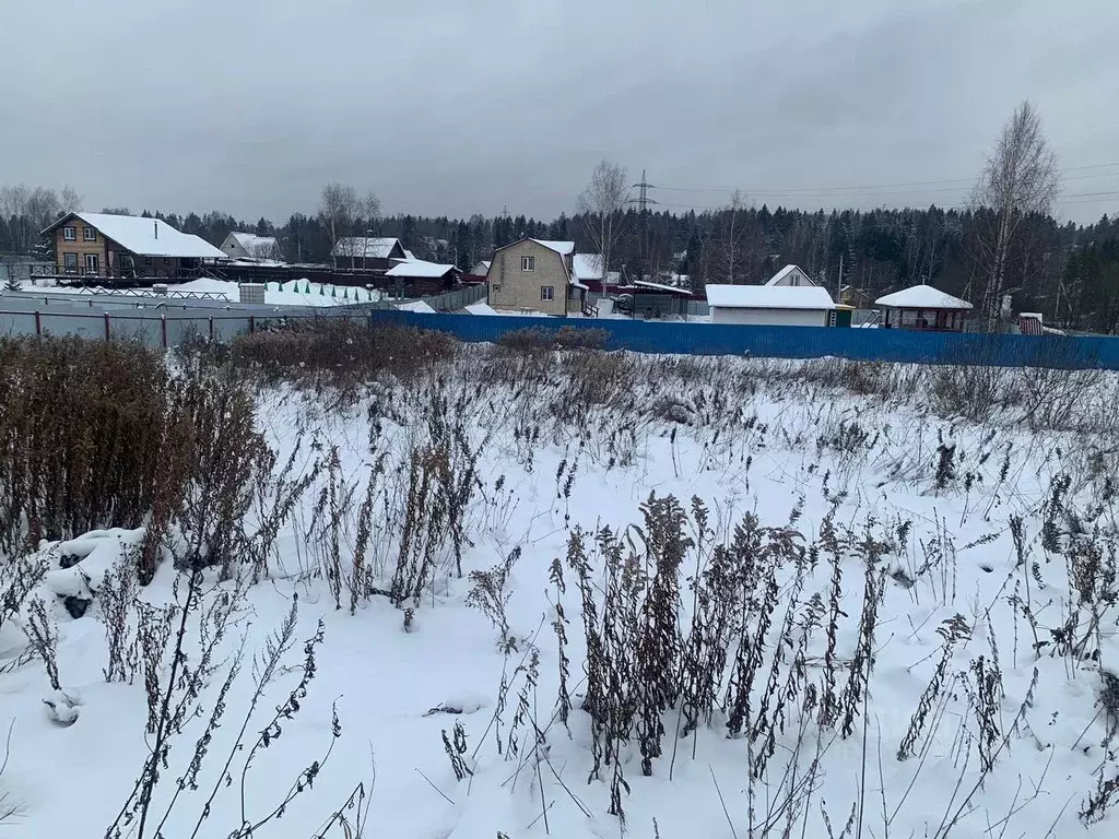 Участок в Московская область, Солнечногорск городской округ, д. ... - Фото 1