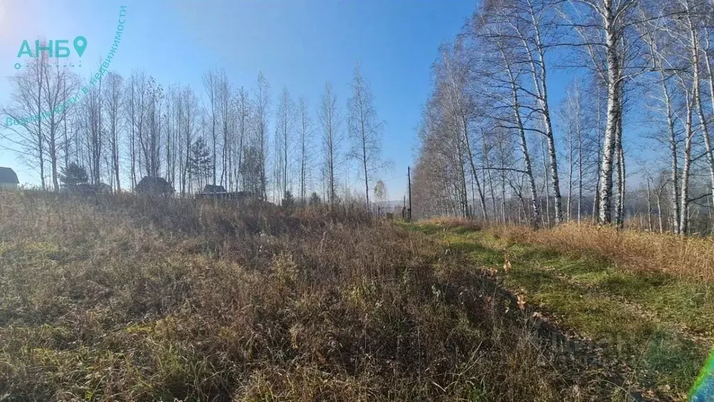 Участок в Новосибирская область, Новосибирский район, Раздольненский ... - Фото 0