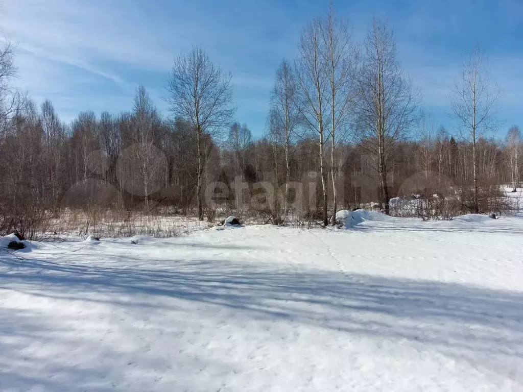 Участок 5,4 сот. (СНТ, ДНП) - Фото 0
