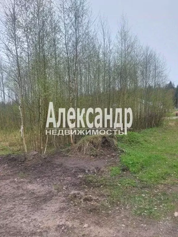 Участок в Ленинградская область, Выборг проезд Береговой (11.0 сот.) - Фото 0