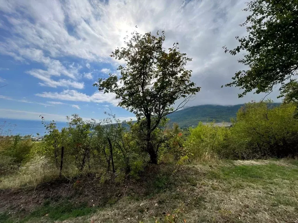 Участок в Крым, Ялта муниципальный округ, Гурзуф пгт ул. 60 лет СССР ... - Фото 1