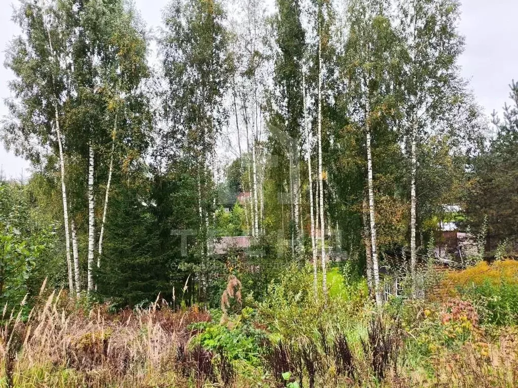 Участок в Ленинградская область, Всеволожский район, Токсовское ... - Фото 0