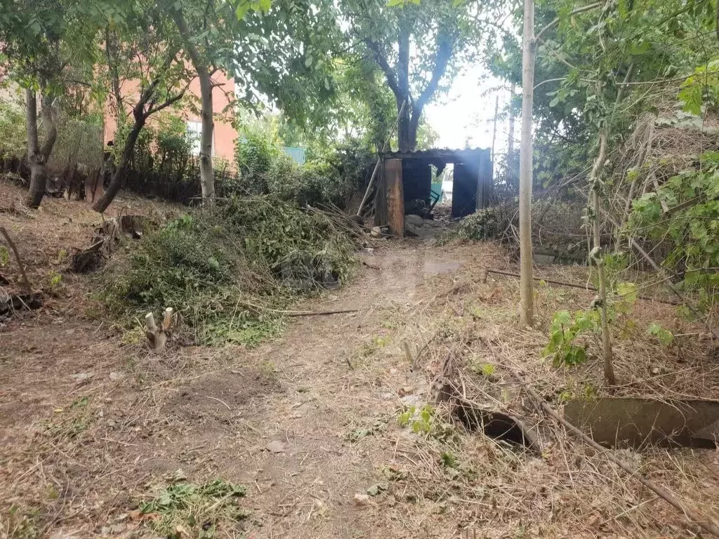 Участок в Ростовская область, Ростов-на-Дону Садовод-Любитель садовое ... - Фото 1