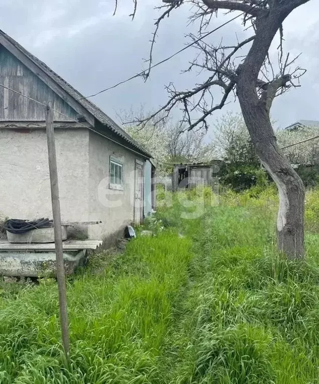 Дом в Краснодарский край, Новороссийск городской округ, с. Мысхако ул. ... - Фото 1