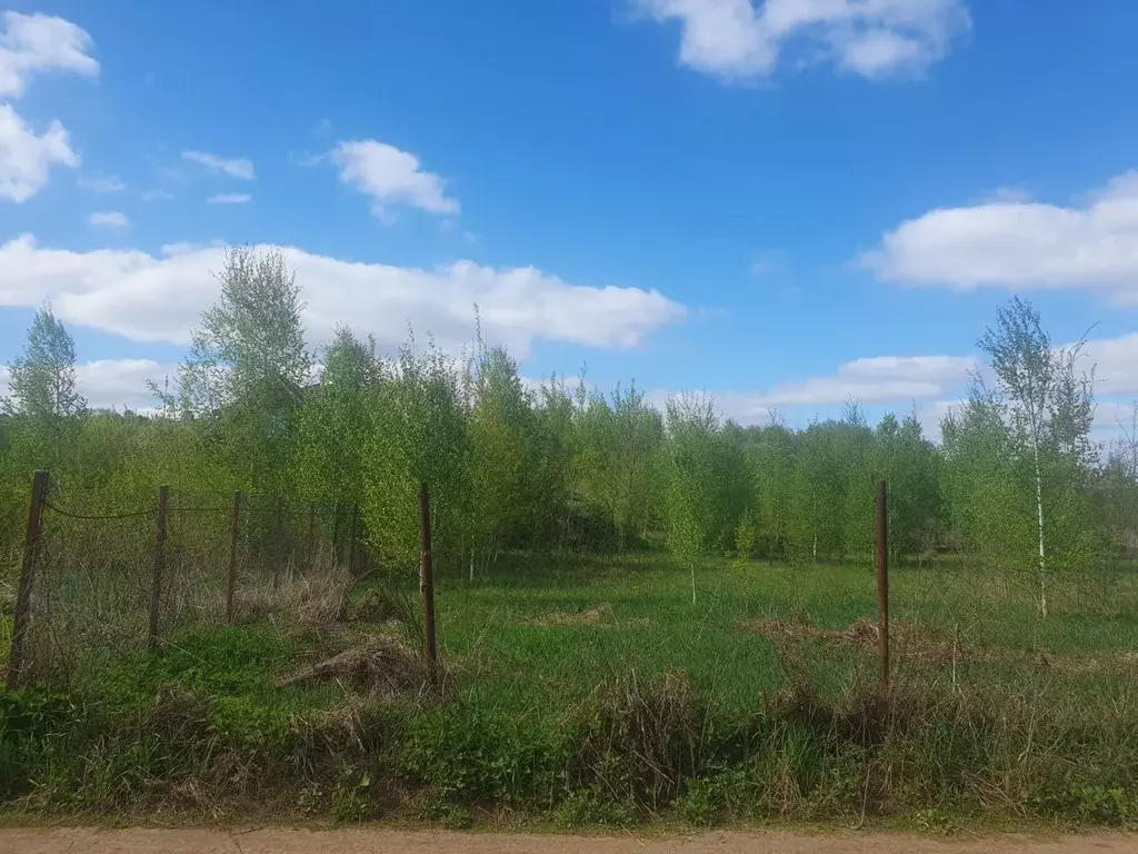 Участок в Московская область, Лосино-Петровский ул. Родниковая (10.0 ... - Фото 1