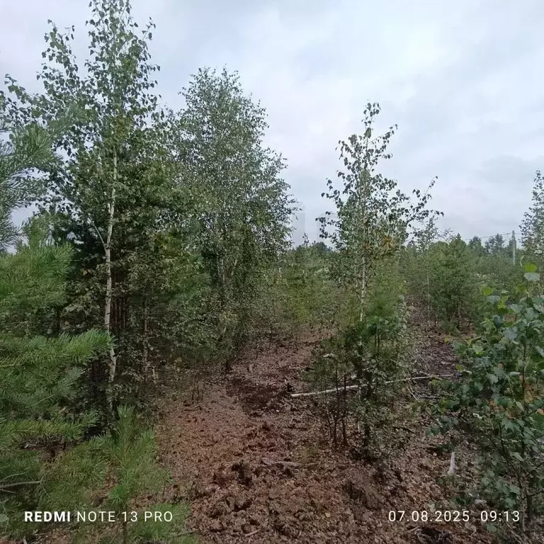 Участок в Свердловская область, Екатеринбург Новый Свет СНТ,  (20.0 ... - Фото 0