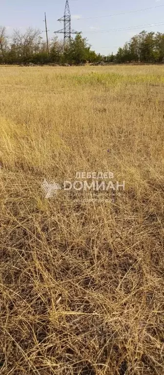 Участок в Ростовская область, Октябрьский район, пос. Персиановский ... - Фото 1