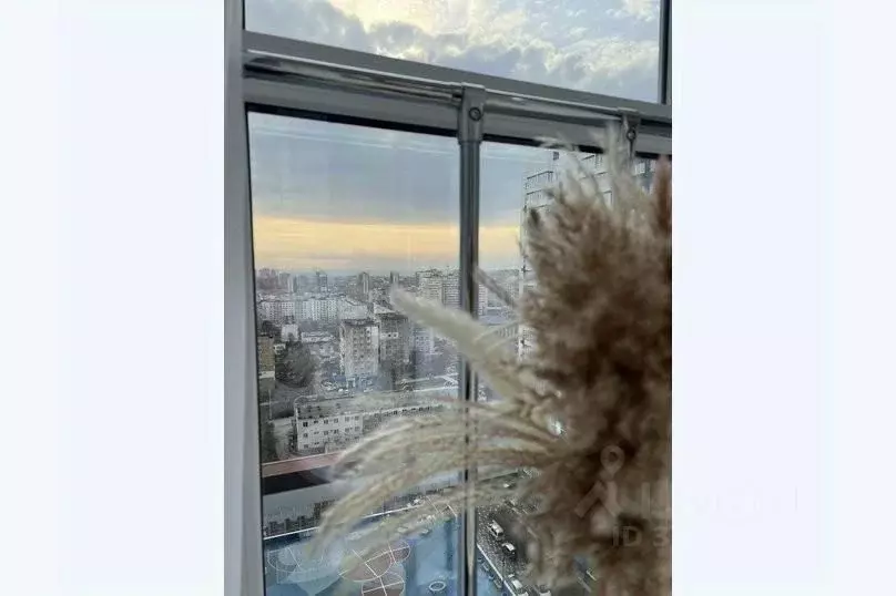 1-к кв. Краснодарский край, Новороссийск ул. Куникова, 47Г (25.0 м) - Фото 1