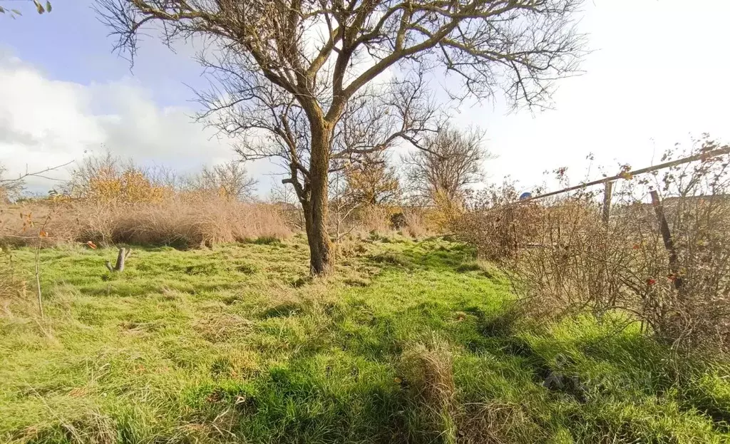 Участок в Краснодарский край, Темрюкский район, Краснострельское ... - Фото 1