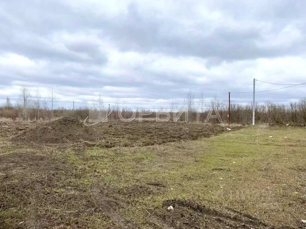 Участок в Тюменская область, Тюменский муниципальный округ, Горячий ... - Фото 2