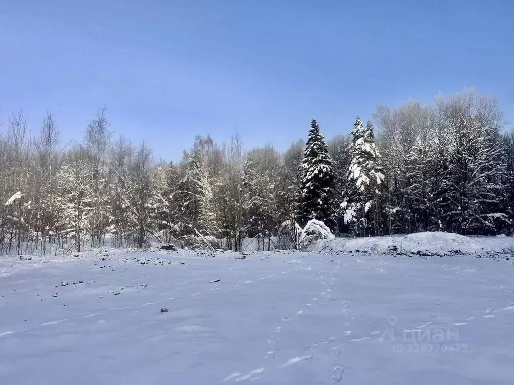 Участок в Московская область, Мытищи городской округ, с. Федоскино ул. ... - Фото 1