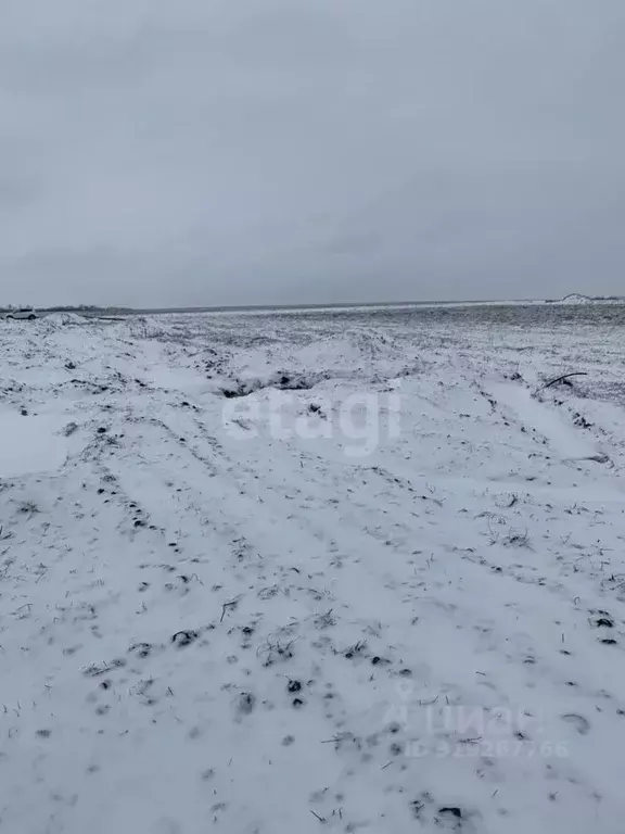 Участок в Белгородская область, Белгородский район, Головинское с/пос, ... - Фото 1