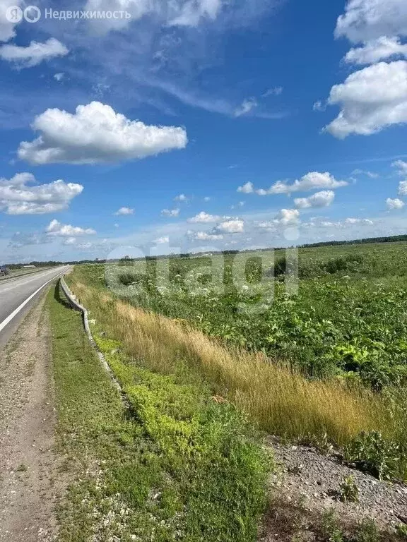 Участок в Тульская область, Новомосковск (653.9 м) - Фото 1